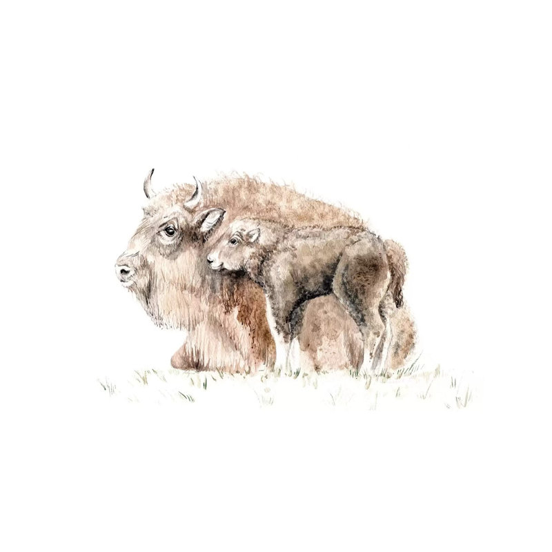 Home On The Range: Mama Buffalo And Her Calf by Wandering Laur - Wrapped Canvas Painting, 20.32 cm H x 30.48 cm W