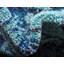 Tapis oriental Dauphine-40279753