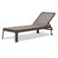 Plano Outdoor Chaise Lounge-521479963