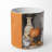 Pumpkin Pie Scented Tumbler Candle with Ceramic Holder
