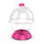 Rose est en rupture de stock