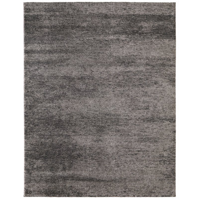 Clair Modern Distressed Area Rug