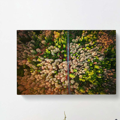 Separating The Forest - Wrapped Canvas Print