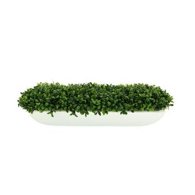 UV Rated Outdoor Boxwood Arrangement