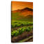 Carneros Vineyard Twilight-155390696