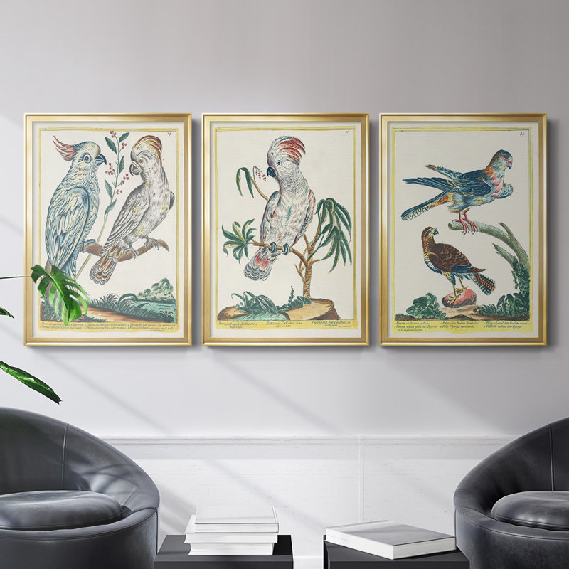 «Pastel Birds I», toile encadrée de qualité supérieure - prête à être accrochée, Cadre doré, H 42,5 po x l 61 po x P 2,5 po