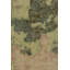 Hand Knotted Wool Area Rug