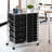 Barksdale 15-Drawer Utility Rolling Organizer Cart-3285245