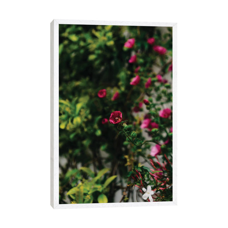 Positano Blooms IV by Bethany Young - Print on Canvas, 101.6cm H x 66.04cm W x 3.81cm D, White Framed