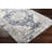 Oriental Indoor Rug-438014072