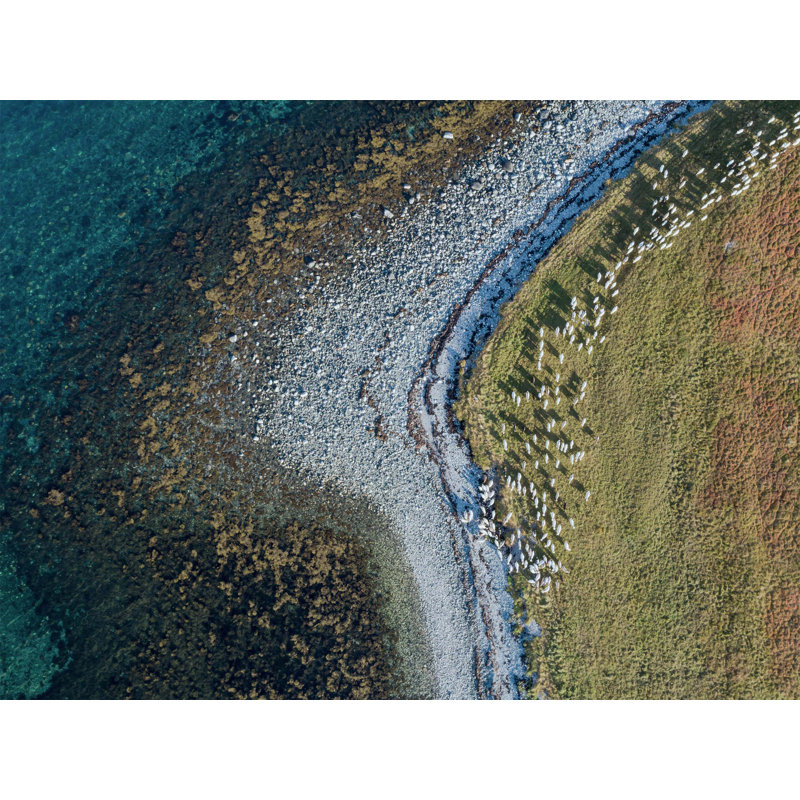 Vue aérienne du rivage 2