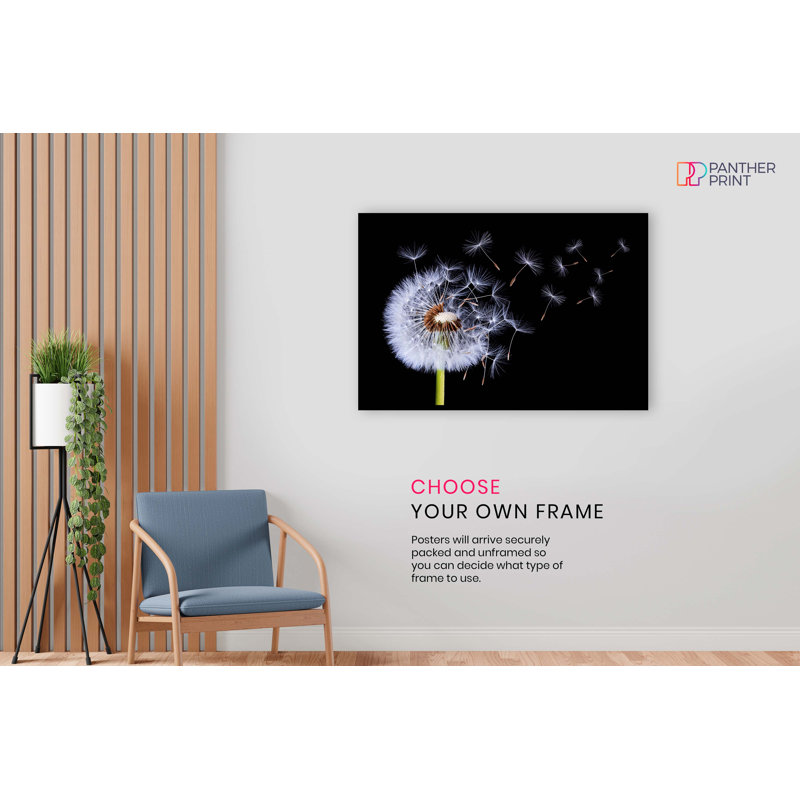 Dandelion Blossom Wind Blown 1 Piece Wall Art, 20cm H x 31cm W