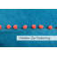 Fida Velvet Pom Pom Cushion Cover-18789104