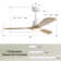 Ceiling Fan with LED Lights