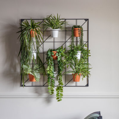 Wall Planter