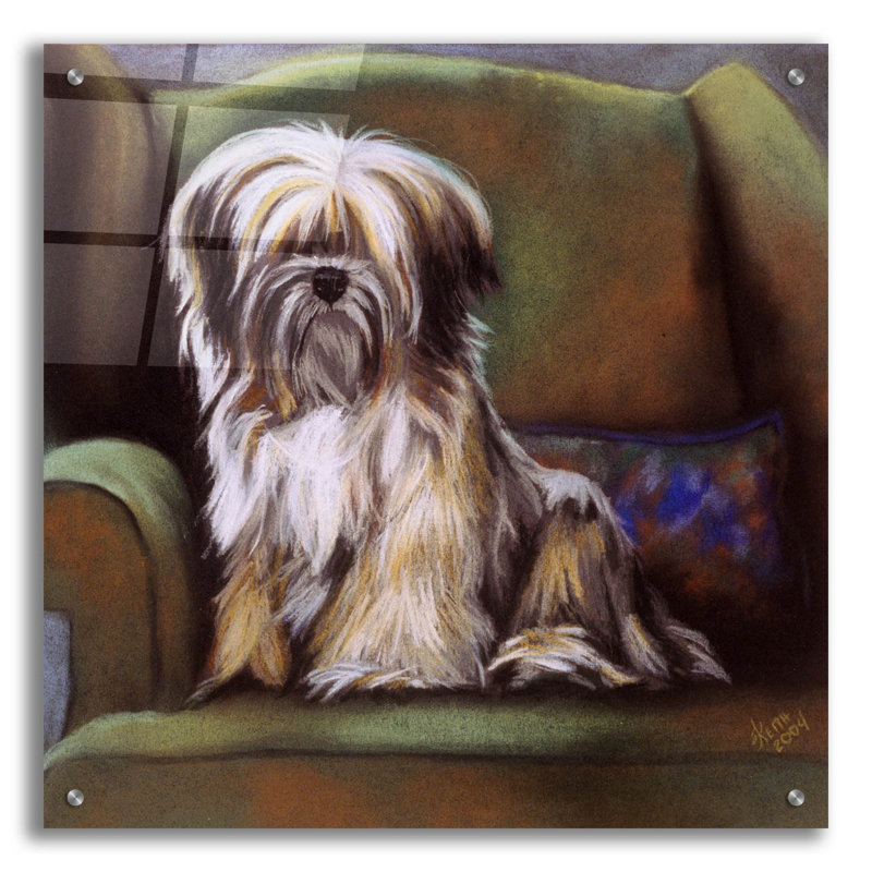 Tibetan Terrier par Barbara Keith - impression non encadrée, H 24 po x l 24 po x P 0,2 po