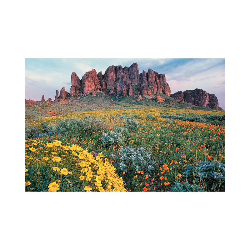 California Brittlebush, Lost Dutchman State Park, Superstition Mountains by Tim Fitzharris - Wrapped Canvas Print