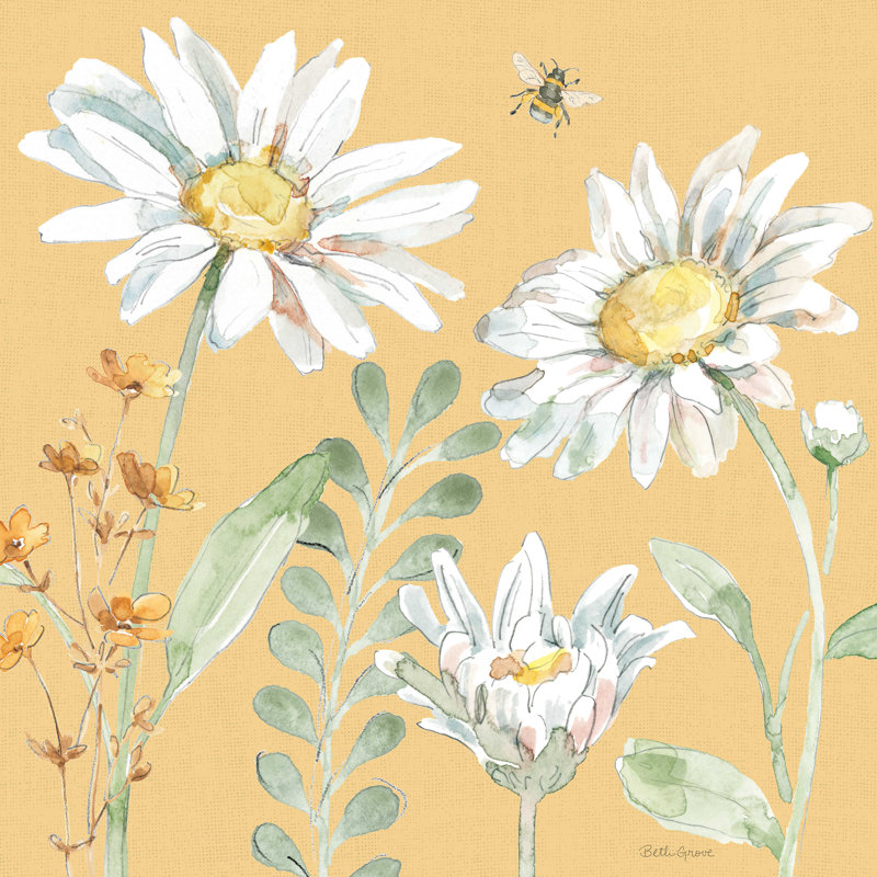 Marguerite, H 12 po x l 12 po