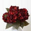 Tiges d’Hortensia-1019615001