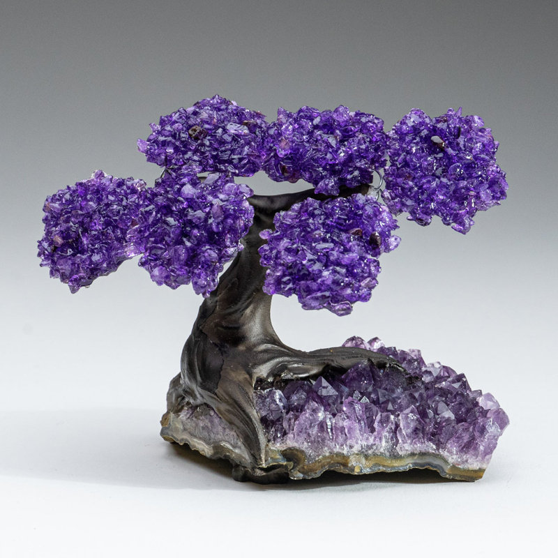 Small Amethyst Clustered Gemstone Tree on Amethyst Matrix (The Protection Tree)