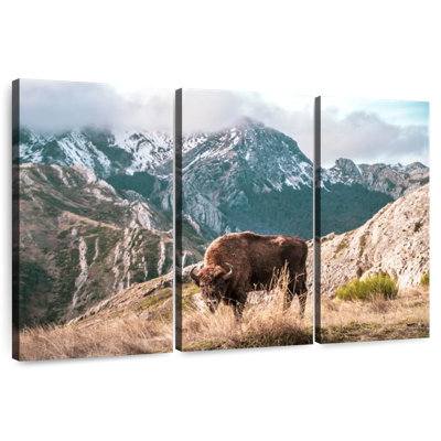 Brampt Bison Lost In The Mountains