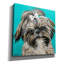 «Girly Shih Tzu» par Carolee Vitaletti, art mural sur toile-1720539868