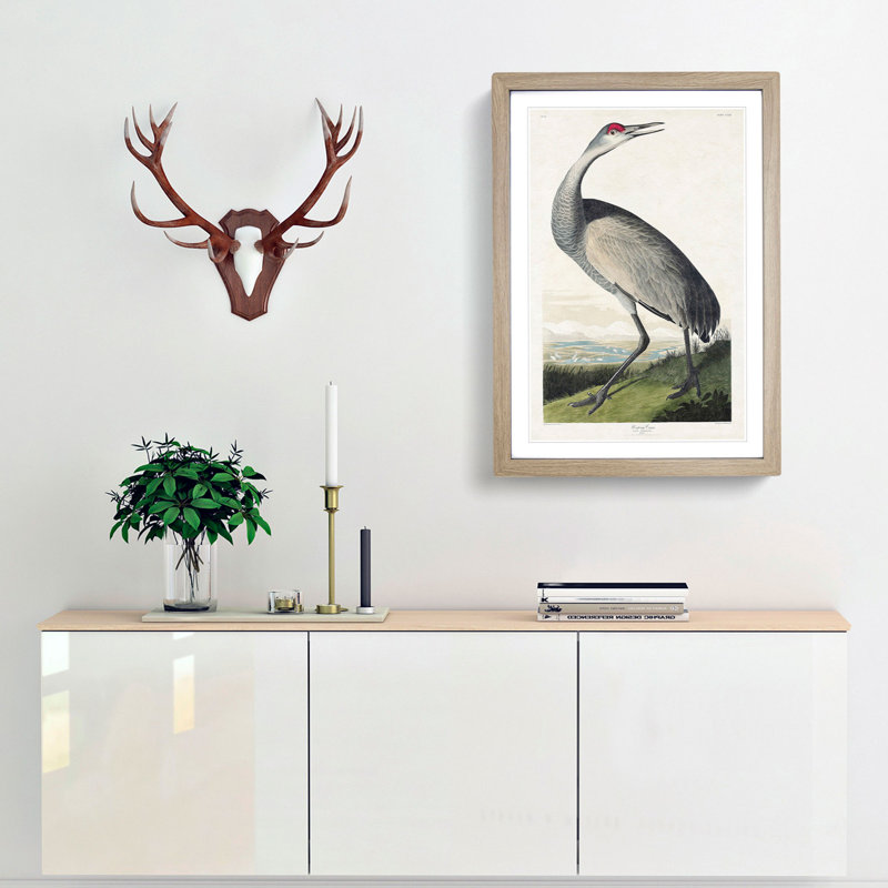 Hooping Crane by John Audubon - Framed Print, Oak Framed, 36cm H x 27cm W x 2cm D