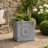 Hillevi Planter-1661493420-1661493423