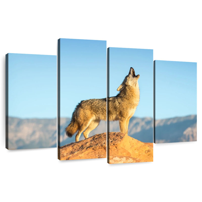 Brampt Howling Coyote, 22" H x 36" W