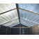 Palram - Canopia Skylight Polycarbonate Storage Shed
