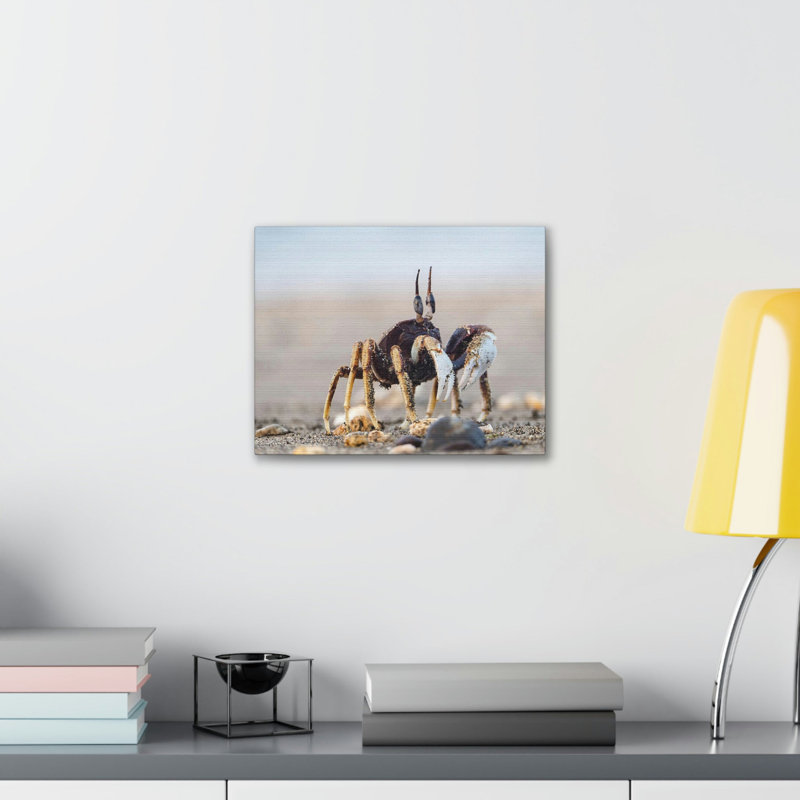 No Frame Print on Canvas, 27.94cm H x 35.56cm W