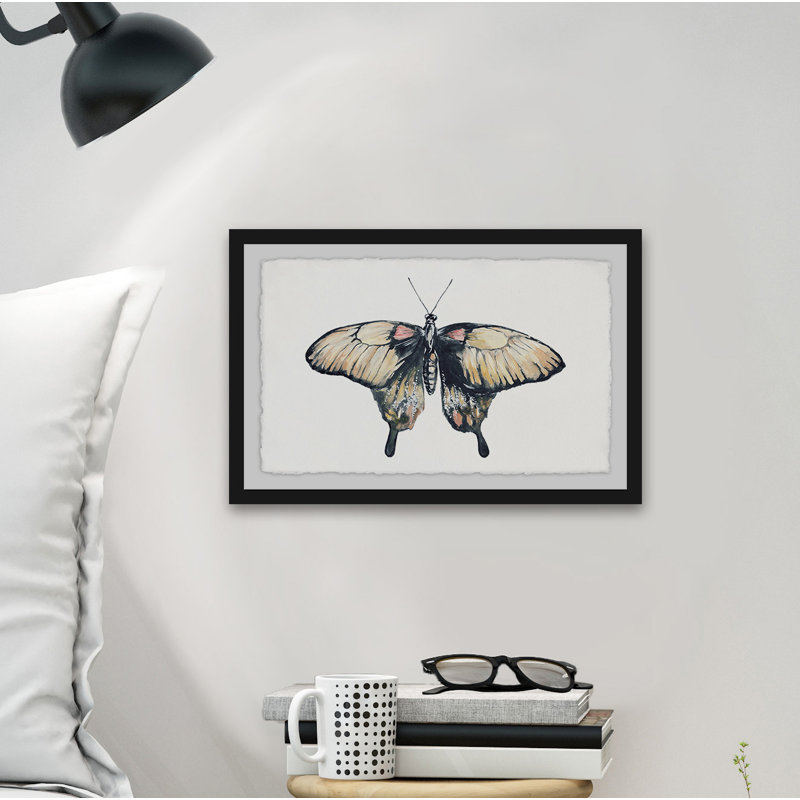 Cream Coloured Wings - Single Picture Frame Print, 30 cm H x 46 cm W