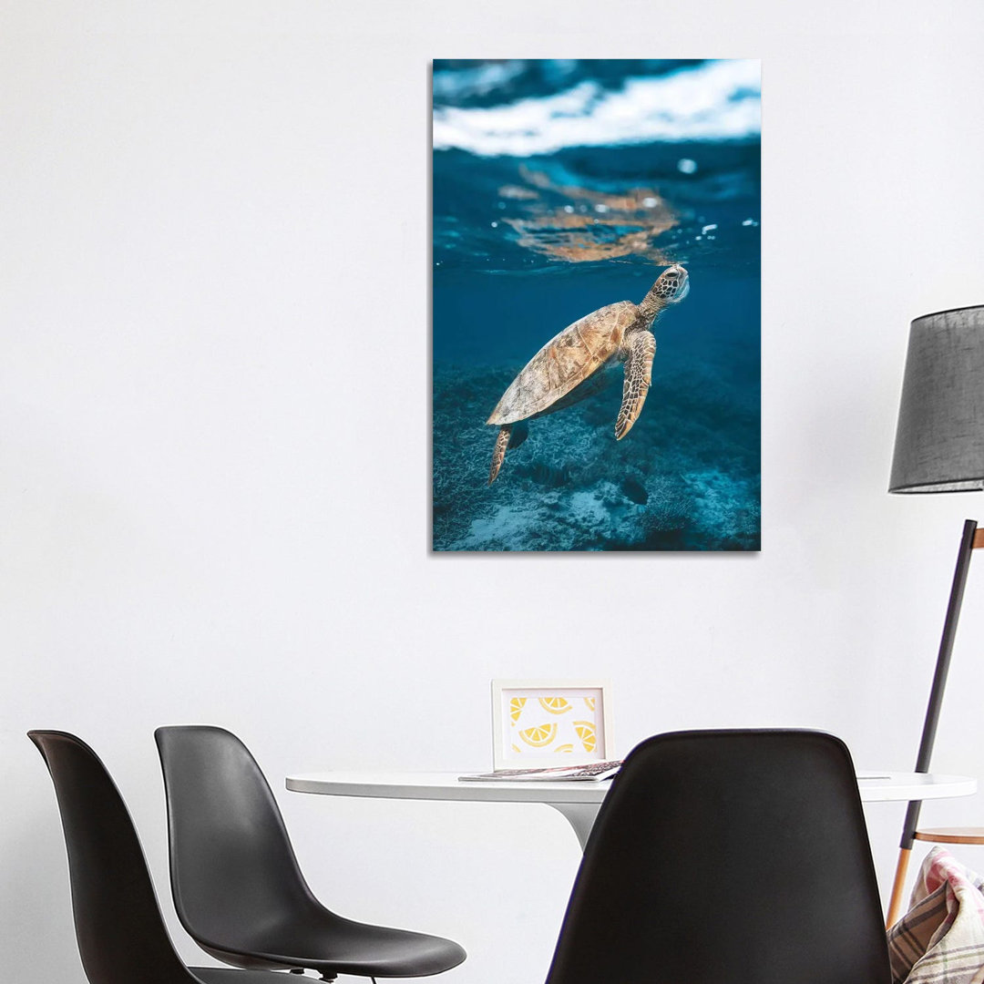 Great Barrier Reef Turtle Underwater by James Vodicka - Wrapped Canvas Gallery-Wrapped Canvas Giclée
