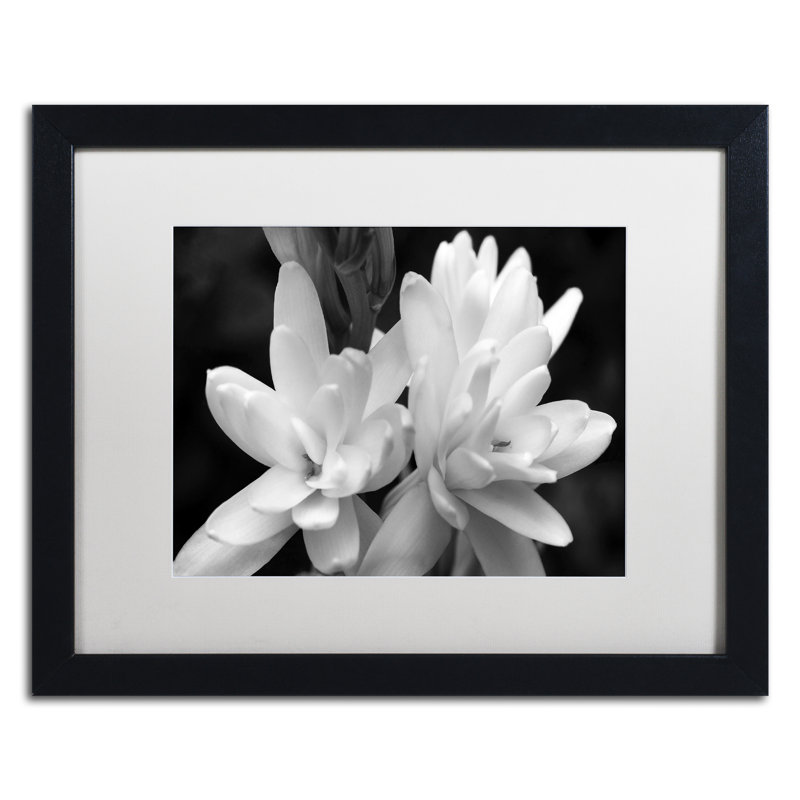  Framed Wall Art - Kurt Shaffer ‘Tuber Rose in Black and White’ Wall Decor with Matted Frame - Living Room, Kitchen, and Bathroom Art - 16x20