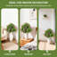 2 arbres topiaires artificiels en forme de buis avec pointes de sol pour l'intérieur et l'extérieur-1227430285