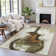 Machine Washable Indoor/Outdoor Xhevrie Brown Rug