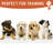 Cotton Pet Bed-72865565