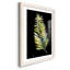 Frond - reproduction de cadre photo sur papier-424094223-424094208