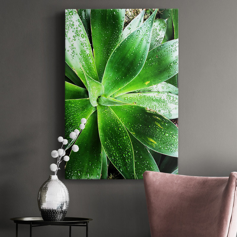 " Green Tropical Succulent V ", 18" H x 12" W x 1.5" D