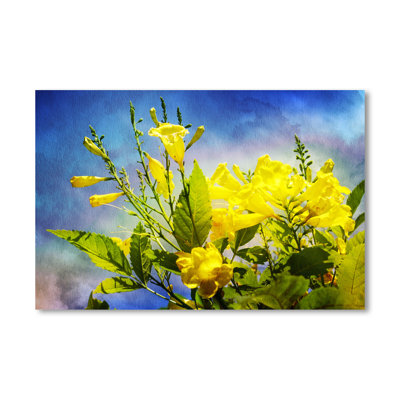 « fleurs on aquarelle ii », impression