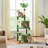 Eleigha 59'' H Cat Tree