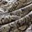 12 Piece Comforter Set with Cotton Bed Sheets Black Cal King