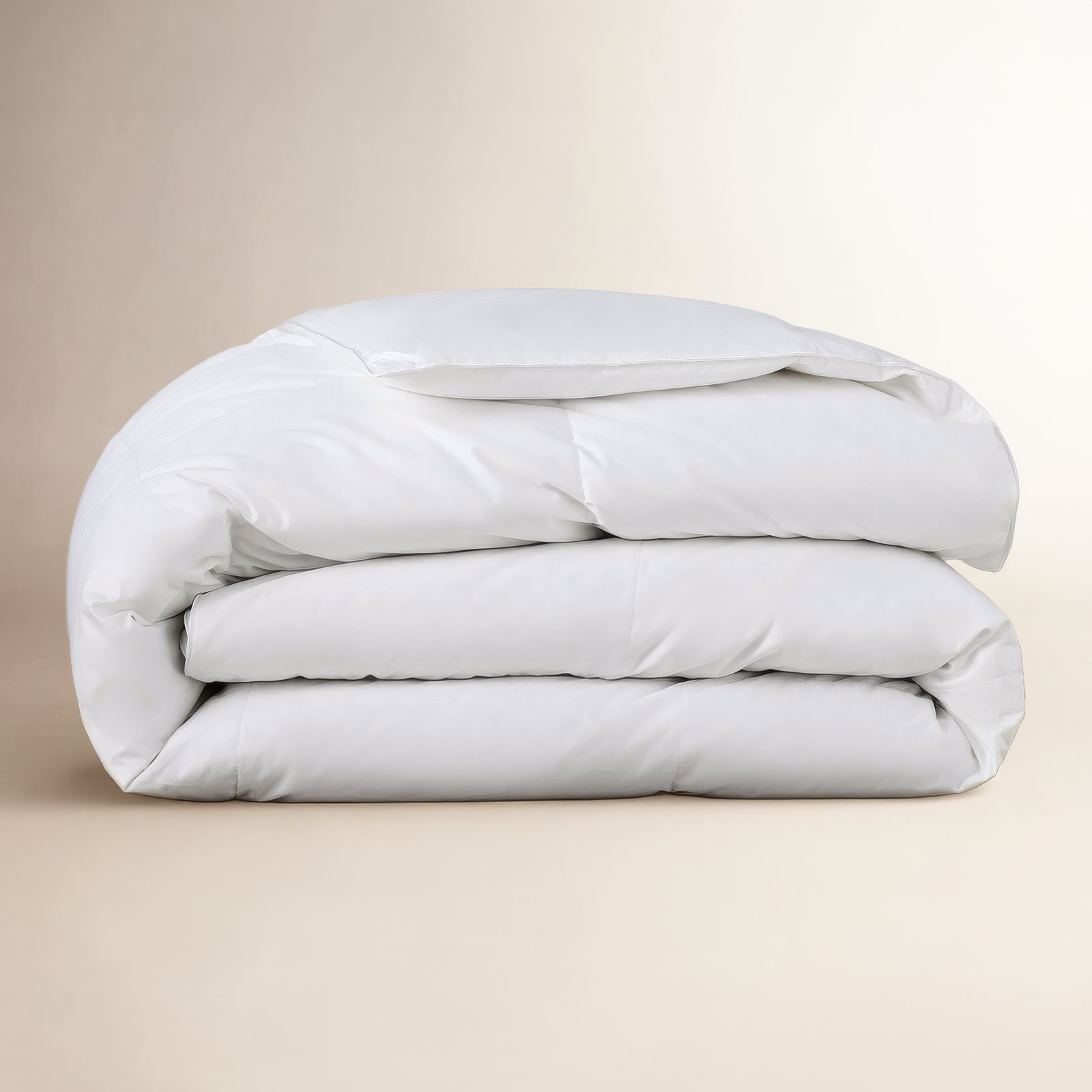 Terron Extra Plush Down Duvet Insert, Twin / Twin XL Down Comforter
