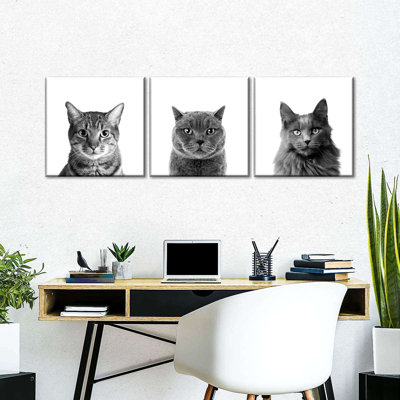 Trois chats, reproduction sur toile