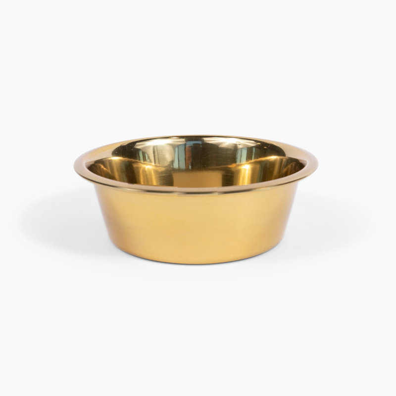 Clear Elevated Feeder with Gold Bowls, 3.5 cups, Gold