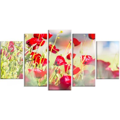 Beautiful Red Poppy Flowers View' 5 Piece Photographic Print on Metal Set -  Design Art, MT12620-373