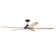 Indy 72'' Ceiling Fan with LED Lights