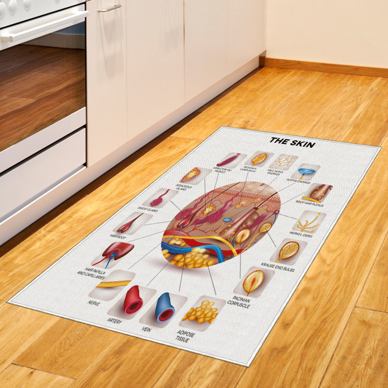 Educational Science High Density Long Fiber Poly Threads Decorative Area Rug Carpet, Rectangle 2'7" x 5'