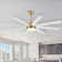 Jamii-Leigh 65/72/84 inch Large Indoor/Covered Outdoor Modern Ceiling Fan with Led Lights and Remote, 6-Speed, Reversible Quiet DC Motor, Timer, 8-ABS-Blade