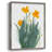 Daffodil Bunch I Framed Print - Solid Wood-851307764